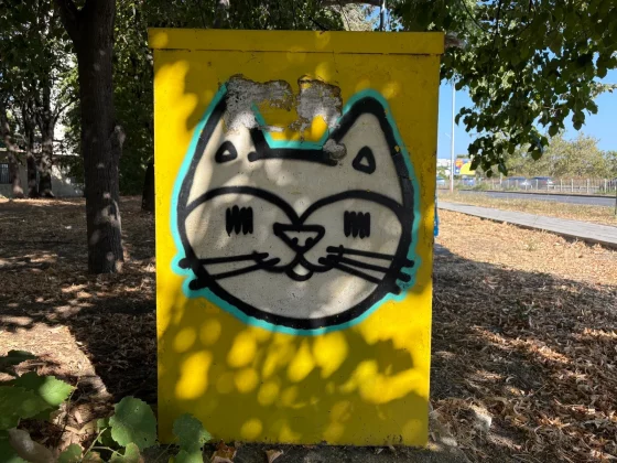 Pixel 10 против iPhone 16