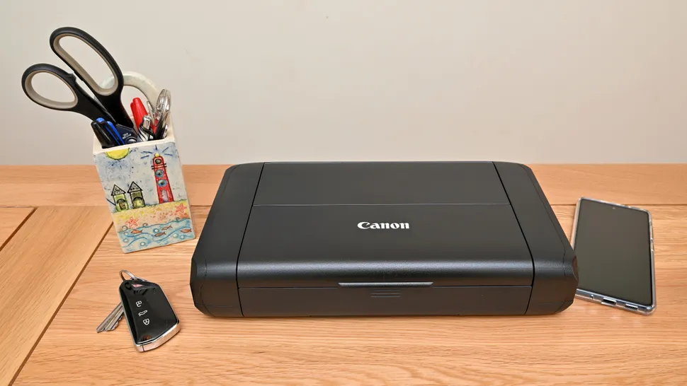 Компактные принтеры: как выбрать? Сравнение картинка Canon PIXMA TR160 / Maxify BX110-2