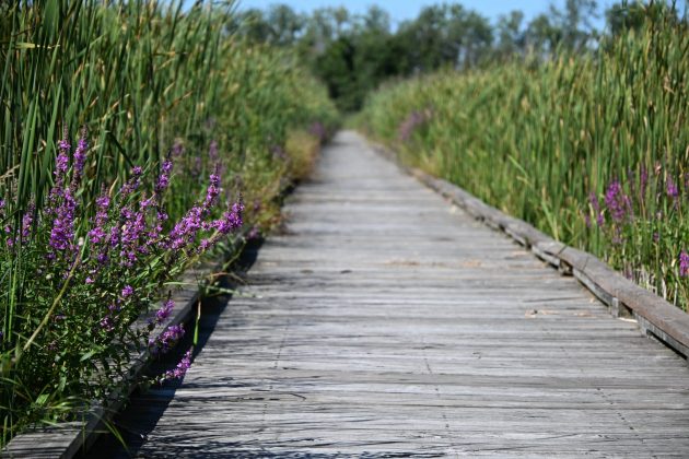 Забудьте про pro-камеры! Мой эксперимент с бюджетной техникой в путешествии. фото