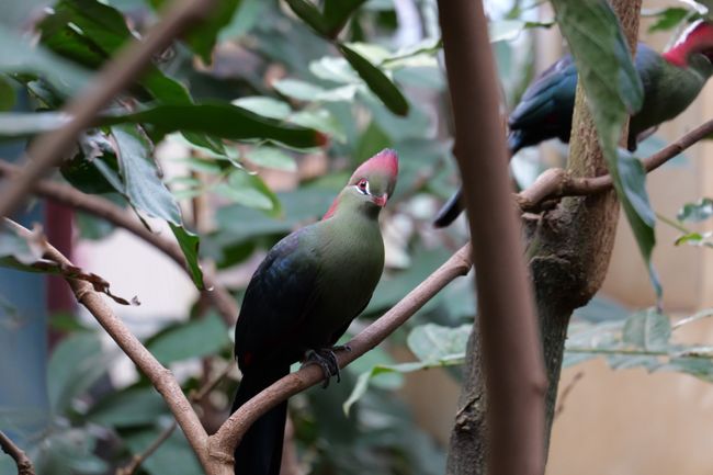 Обзор Panasonic Lumix S 28-200mm f/4-7.1 — зум‑универсал из серии S картинка Lumix S 28-200mm f/4-7.1