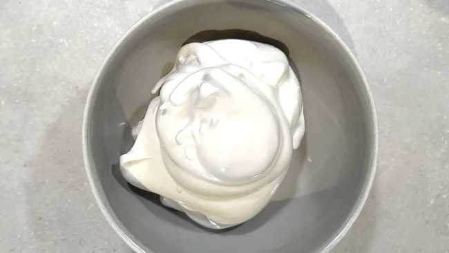 Bosch ErgoMaster Series 6