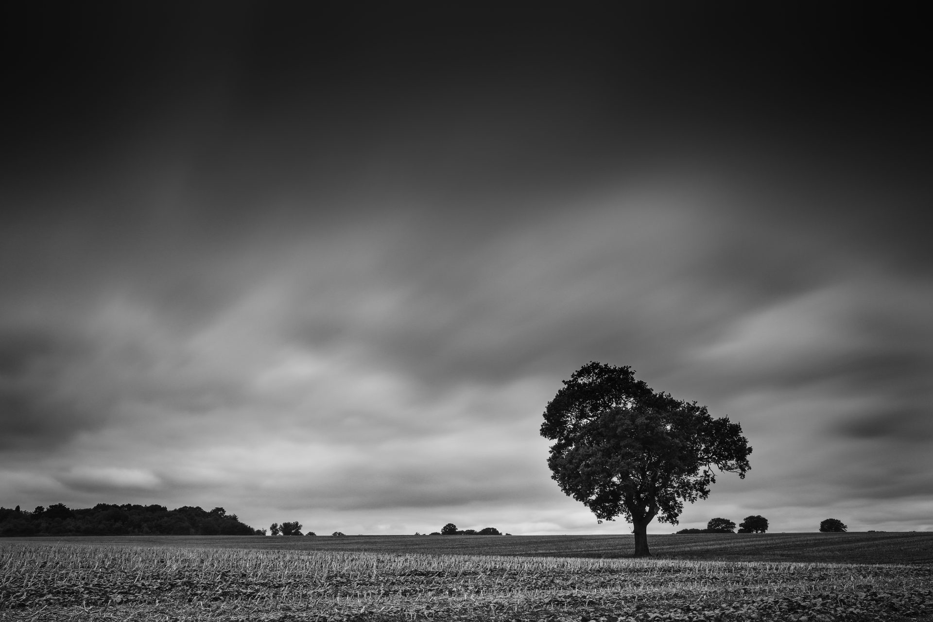 Canon EOS 5D Mark IV