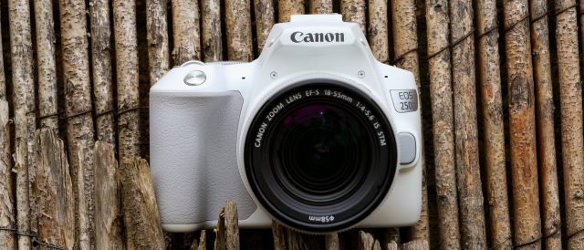 Обзор Canon EOS Rebel SL3 / EOS 250D