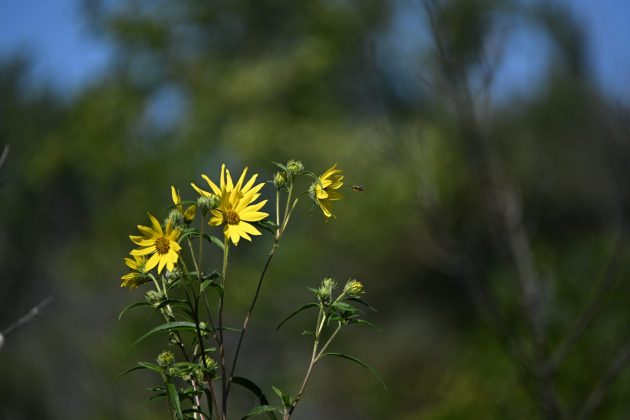 Забудьте про pro-камеры! Мой эксперимент с бюджетной техникой в путешествии. фото