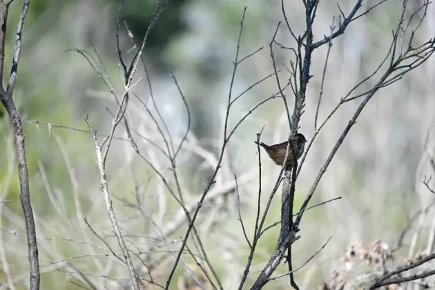 Забудьте про pro-камеры! Мой эксперимент с бюджетной техникой в путешествии. фото