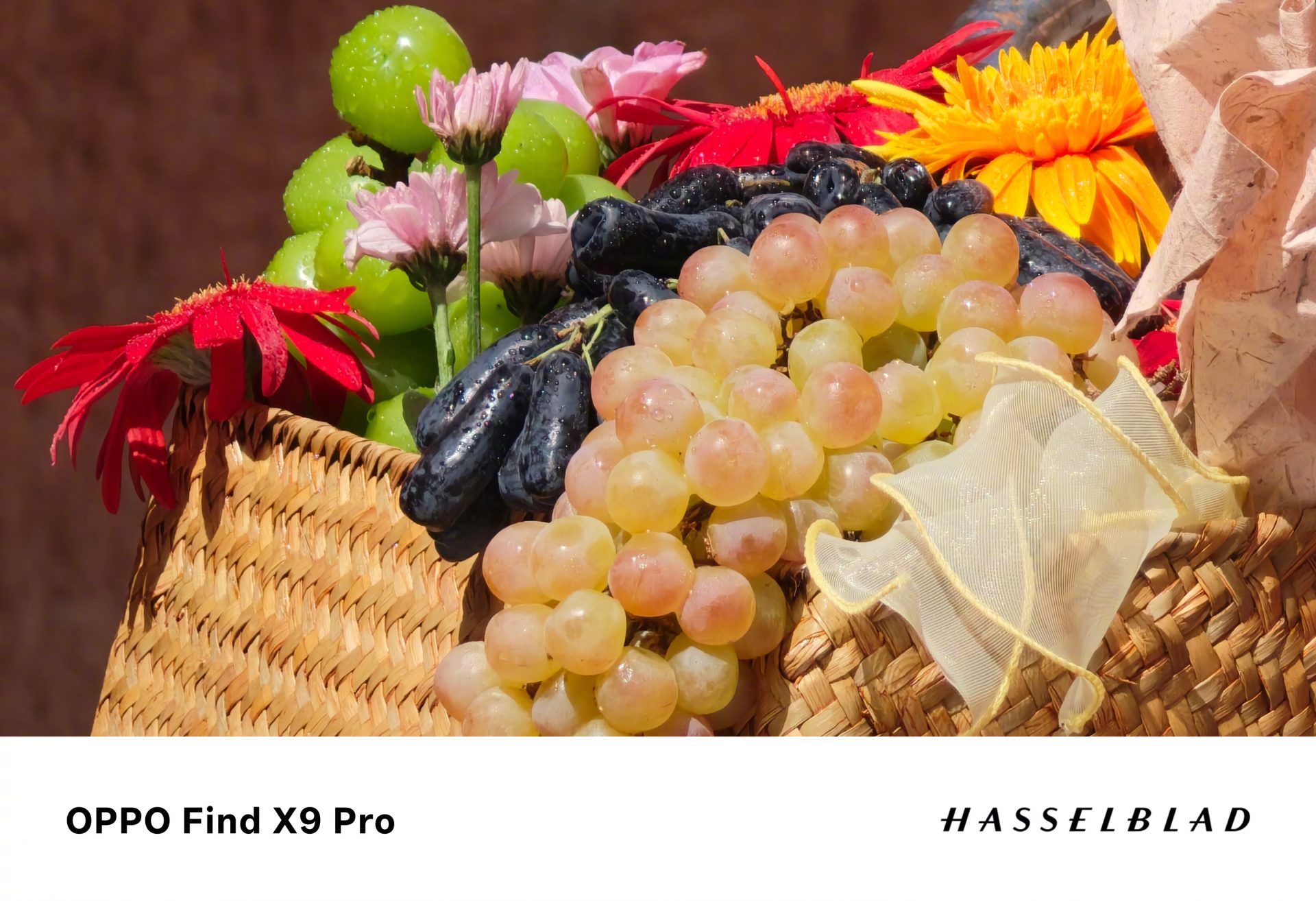 Безумие в 200 мегапикселей: Oppo издевается над скромными аппетитами Apple картинка Find X9 Pro