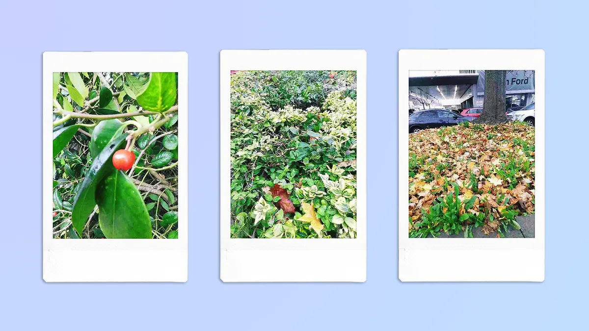 Fujifilm Instax Pal обзор самой миниатюрной камеры