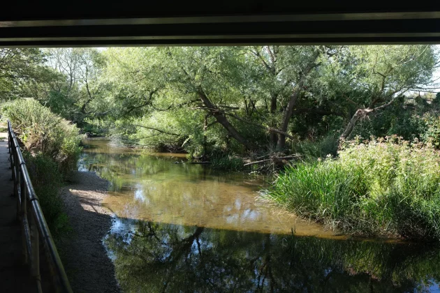 Обзор Fujifilm X-E5: в ней столько шарма, что мне плевать на недостатки фото