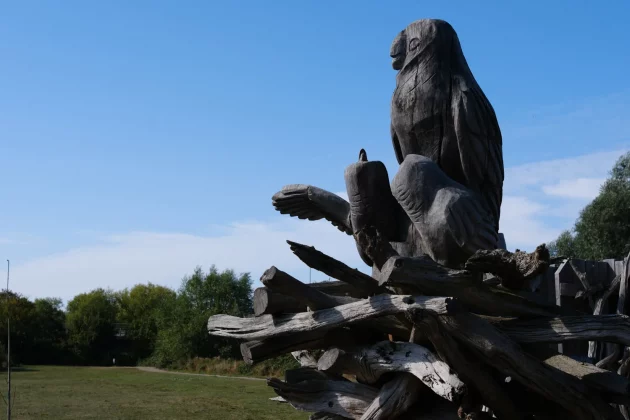 Обзор Fujifilm X-E5: в ней столько шарма, что мне плевать на недостатки фото