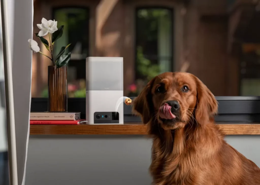 Гаджеты для домашних животных