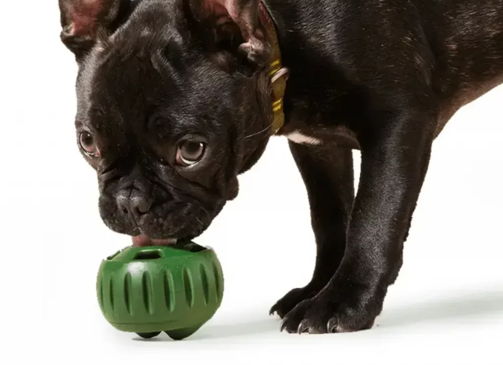 Гаджеты для домашних животных