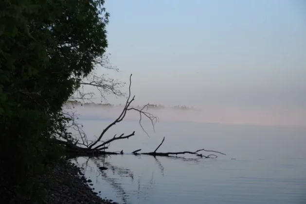 Pentax-D FA 24-70mm f/2.8: