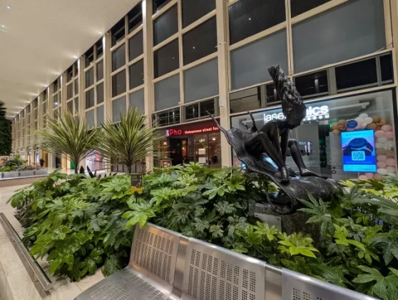 Обзор Pixel 10 Pro XL: ультрафон, о котором я мечтал фото