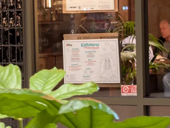 Обзор Pixel 10 Pro XL: ультрафон, о котором я мечтал фото