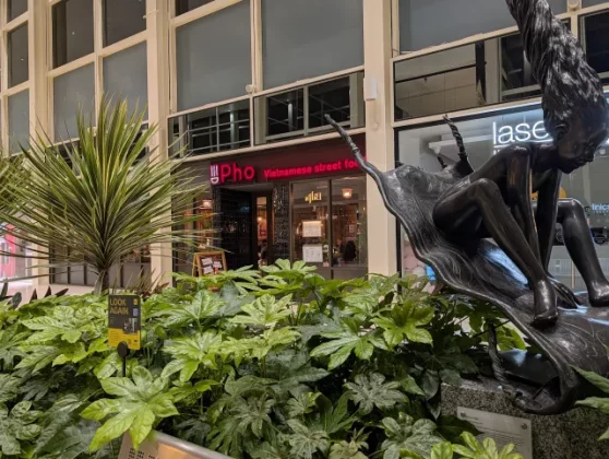 Обзор Pixel 10 Pro XL: ультрафон, о котором я мечтал фото