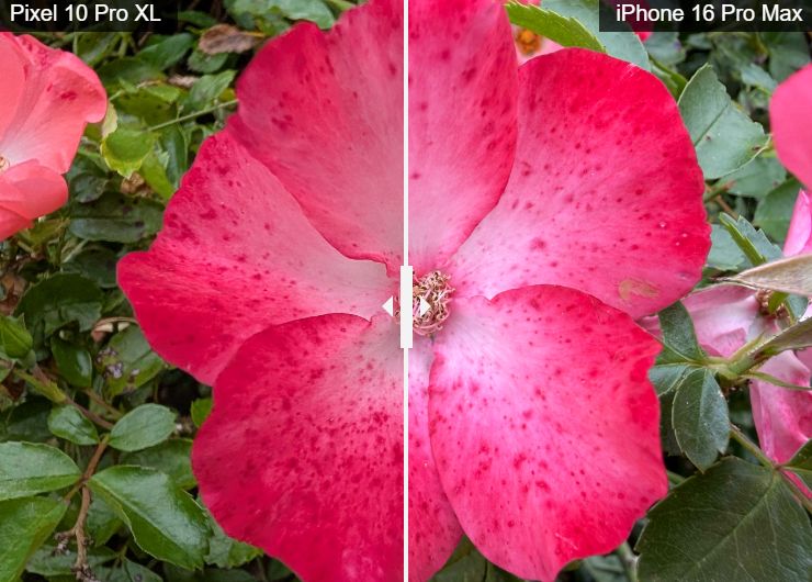 Google Pixel 10 Pro XL