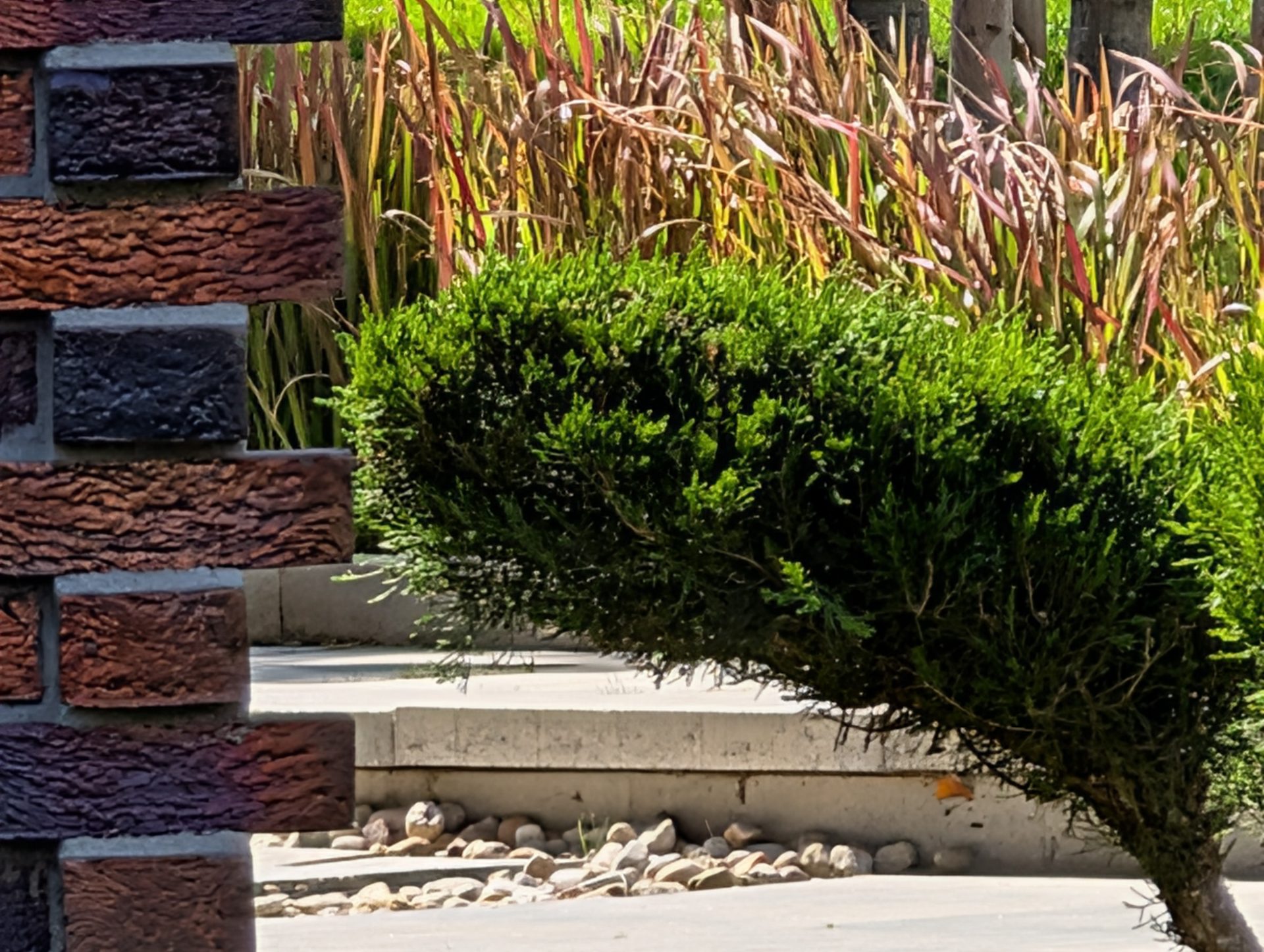 Google Pixel 10 Pro XL