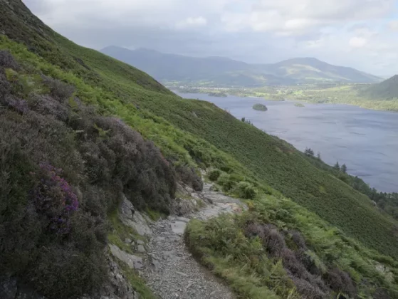 Обзор Hasselblad X2D II 100C: камера мечты для портретной и пейзажной съемки фото