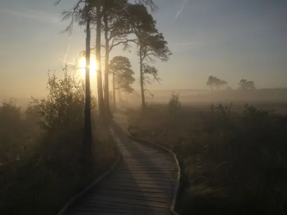 Обзор Hasselblad X2D II 100C: камера мечты для портретной и пейзажной съемки фото