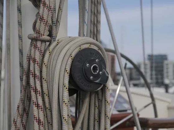 Обзор Hasselblad X2D II 100C: камера мечты для портретной и пейзажной съемки фото