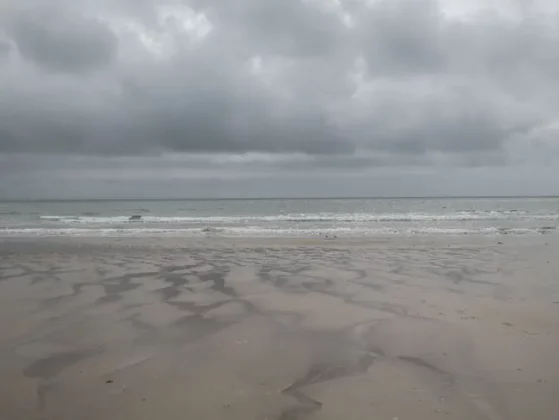 Обзор Hasselblad X2D II 100C: камера мечты для портретной и пейзажной съемки фото