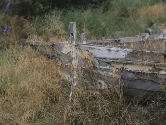 Обзор Hasselblad X2D II 100C: камера мечты для портретной и пейзажной съемки фото