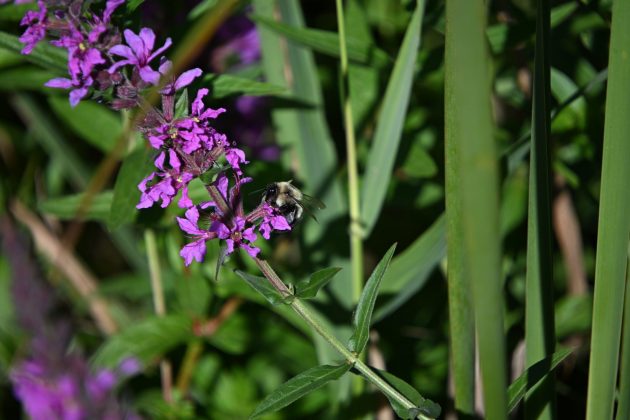 Забудьте про pro-камеры! Мой эксперимент с бюджетной техникой в путешествии. фото