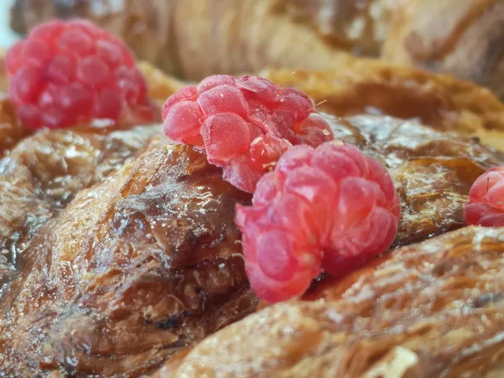 Обзор Honor 400: камера Pro по более доступной цене фото