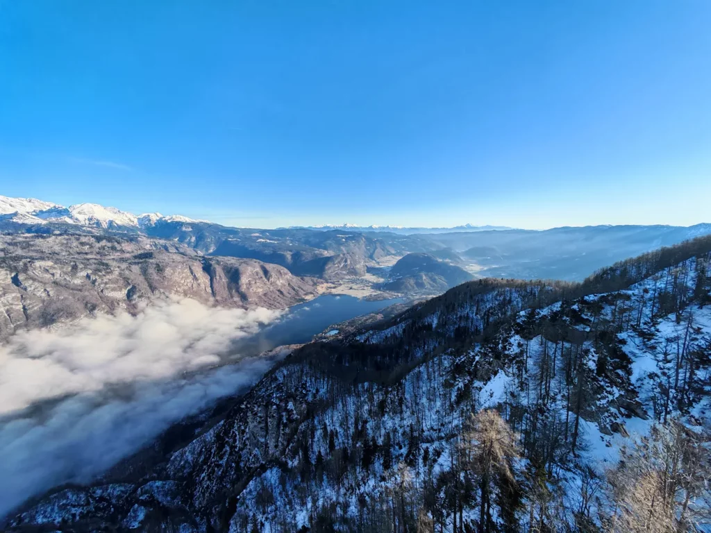 Обзор Honor Magic 7 Pro: благодаря искусственному интеллекту этот флагман стал отчасти блестящим, отчасти странным фото