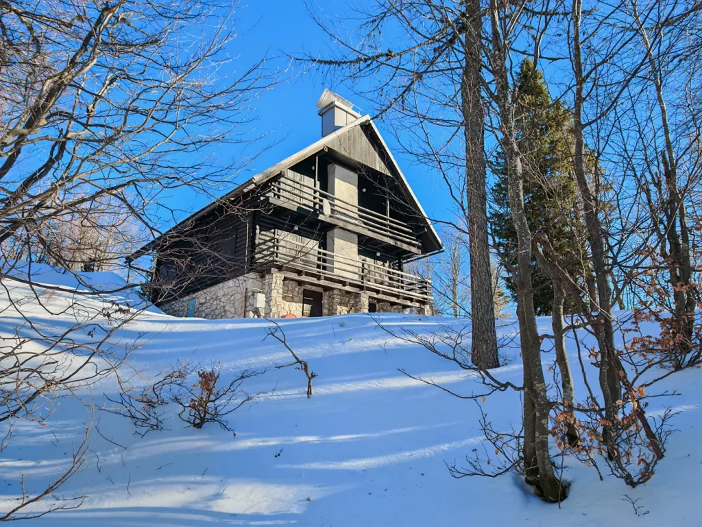 Обзор Honor Magic 7 Pro: благодаря искусственному интеллекту этот флагман стал отчасти блестящим, отчасти странным фото