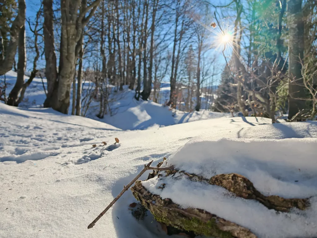 Обзор Honor Magic 7 Pro: благодаря искусственному интеллекту этот флагман стал отчасти блестящим, отчасти странным фото