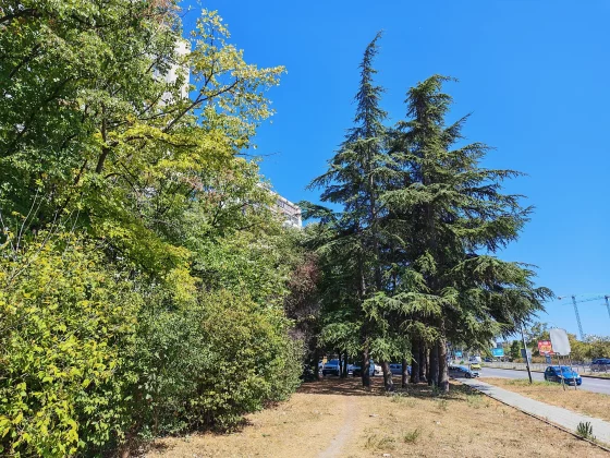 Honor Magic V Flip 2 блестящий провал