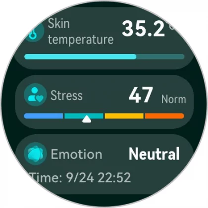 Huawei Watch Ultimate 2