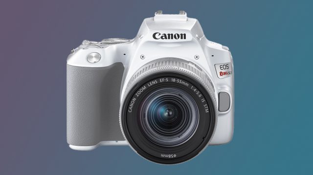 Идеальная камера для начала Canon SL3, что стареет как вино