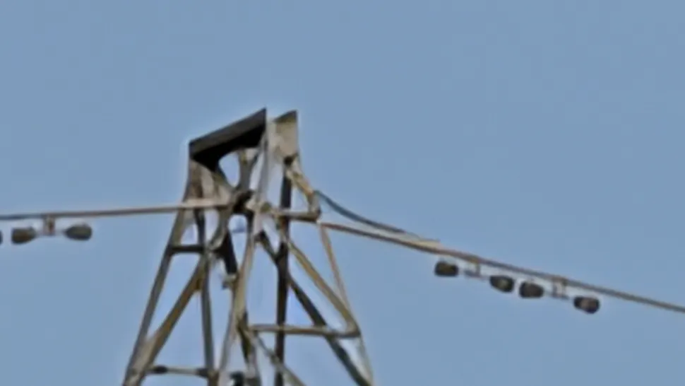 iPhone 17 Pro против Google Pixel 10 Pro