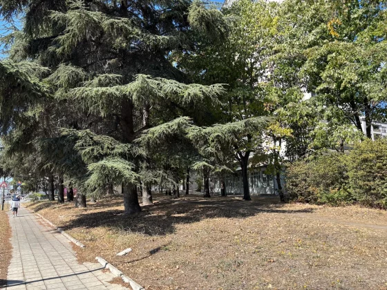 iPhone 17 против iPhone 15