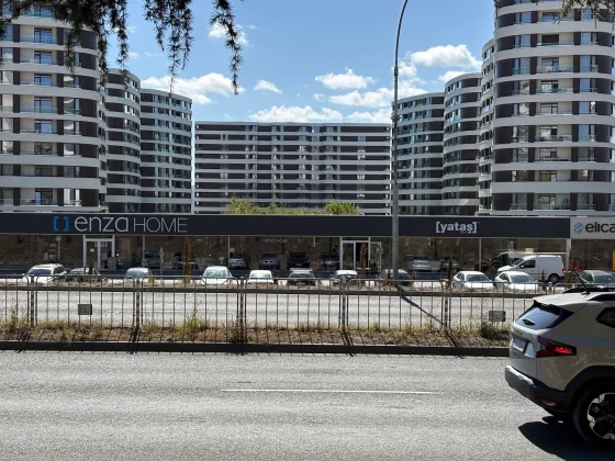 iPhone 17 против iPhone 16