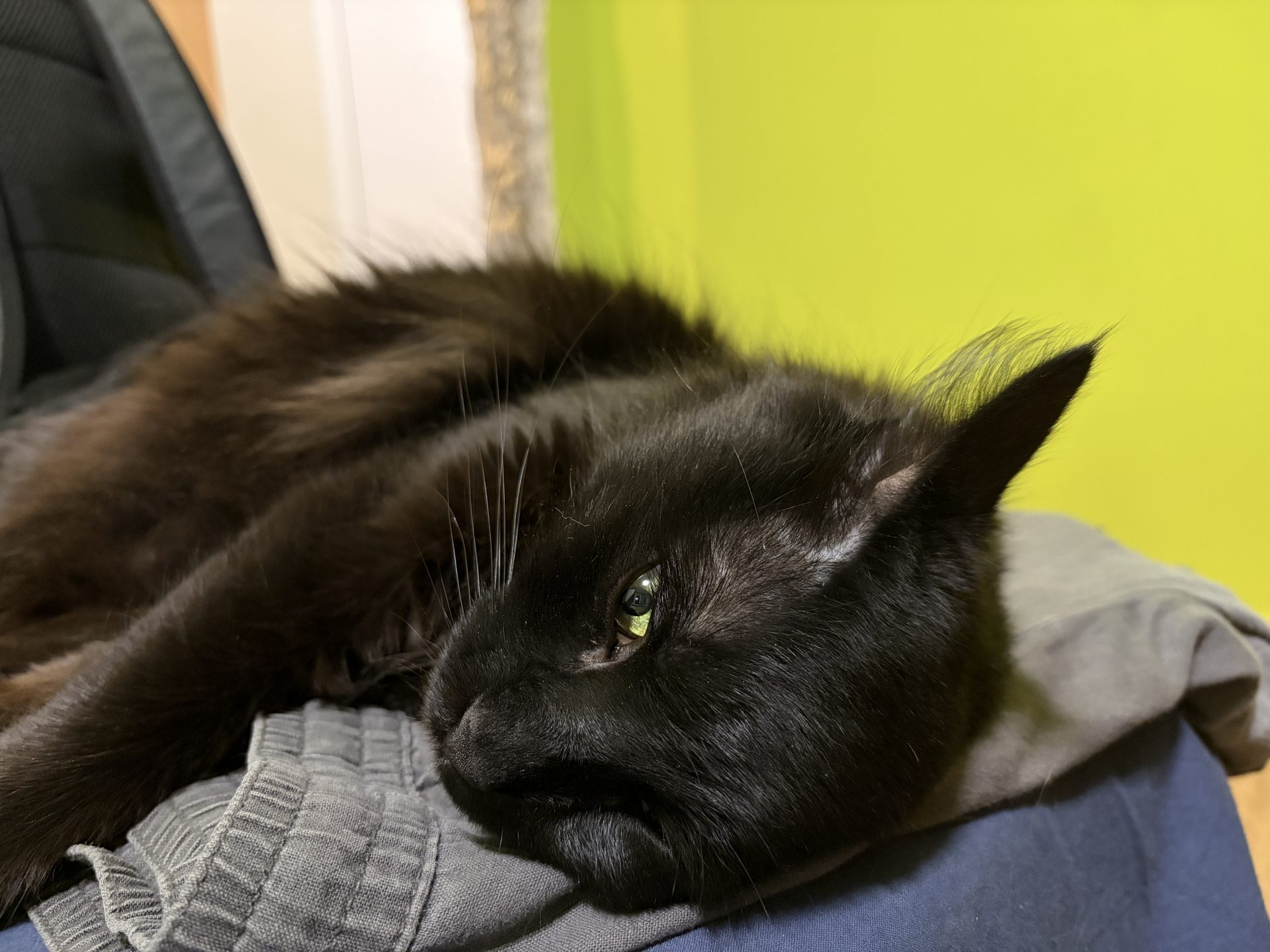 Обзор iPhone Air: уникальный телефон с большими недостатками картинка iPhone Air