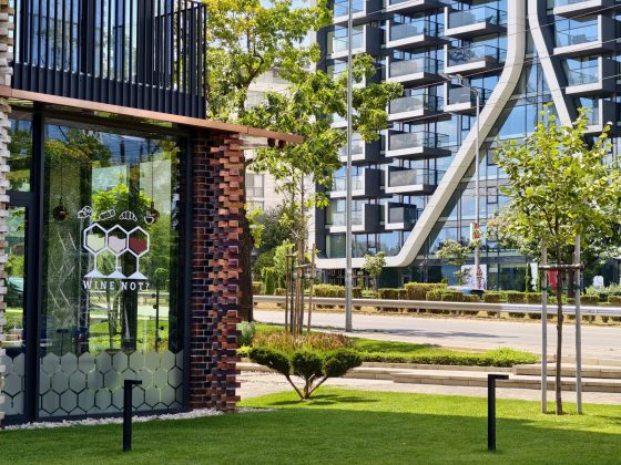 Лучший камерофон Ultra: сравнение Oppo, Samsung, Xiaomi, Vivo и Huawei фото