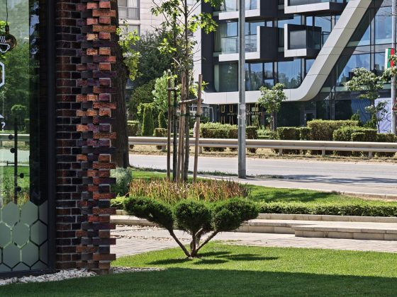 Лучший камерофон Ultra: сравнение Oppo, Samsung, Xiaomi, Vivo и Huawei фото