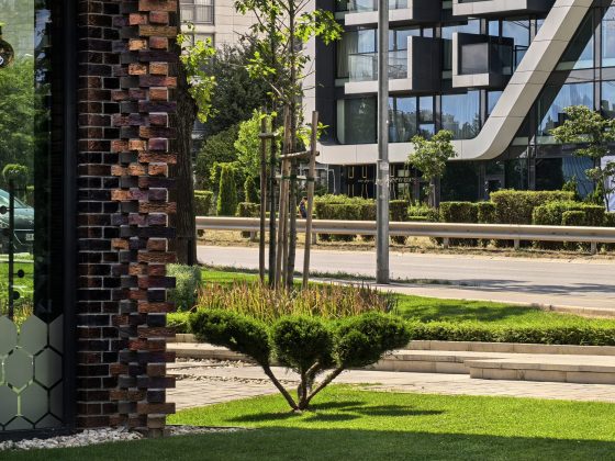 Лучший камерофон Ultra: сравнение Oppo, Samsung, Xiaomi, Vivo и Huawei фото