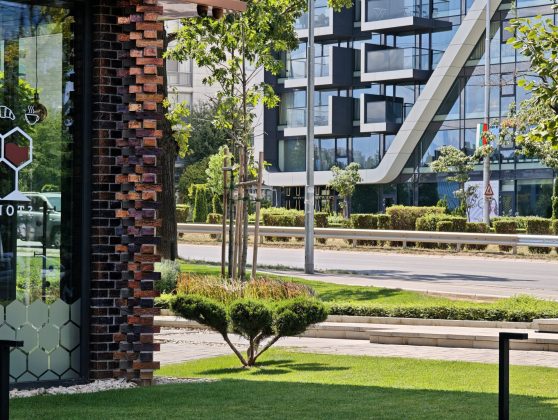 Лучший камерофон Ultra: сравнение Oppo, Samsung, Xiaomi, Vivo и Huawei фото