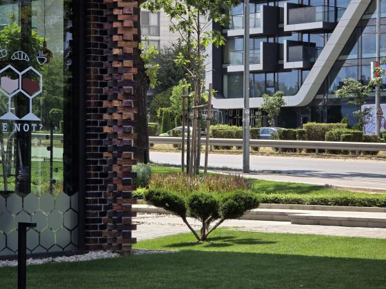 Лучший камерофон Ultra: сравнение Oppo, Samsung, Xiaomi, Vivo и Huawei фото