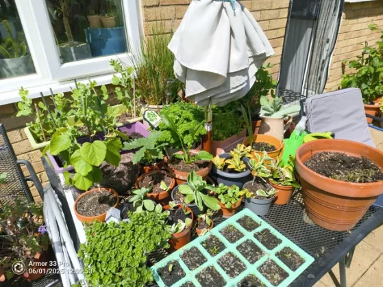 Обзор Ulefone Armor 33 Pro: тяжеловес во всех смыслах фото