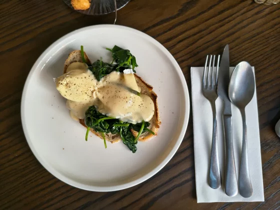 Обзор Motorola Edge 60 Pro: противоядие от однотипных телефонов фото