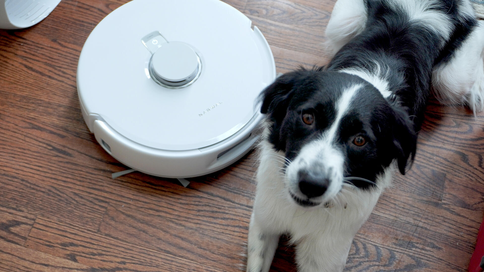 479611Обзор Narwal Freo Pro: 10 дней автономной уборки дома