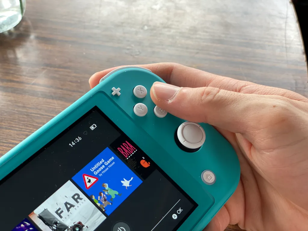 Nintendo Switch Lite
