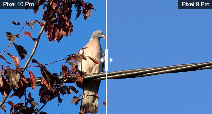 Обзор Google Pixel 10 Pro