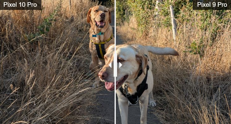 Обзор Google Pixel 10 Pro