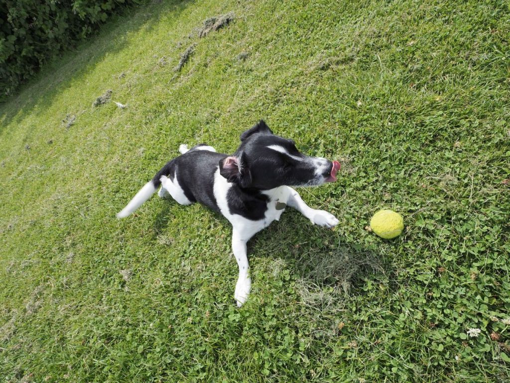 Обзор Olympus M.ZUIKO DIGITAL ED 8–25 мм F4.0 PRO картинка Olympus M.ZUIKO